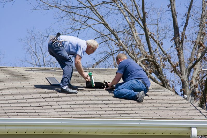 High-Quality Asphalt Shingle Repair