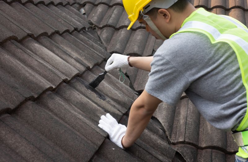 Roof Hole Repair